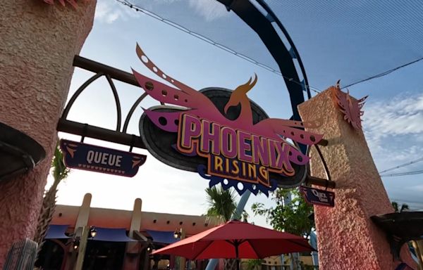 New 'Phoenix Rising' coaster opens to guests at Busch Gardens Tampa