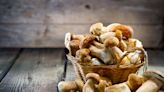 How the lowly mushroom is becoming a nutritional star