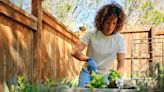 8 conseils pour préparer votre potager avant votre départ en vacances