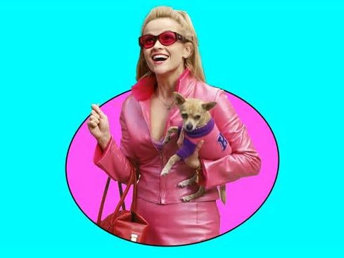 Legally Blonde se transforma en serie con un nuevo spin-off