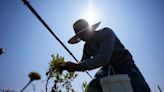 Cómo afecta el cambio climático a la salud de los trabajadores