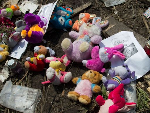 Cop at MH17 crash describes strewn toys & body parts 10yrs after jet shot down
