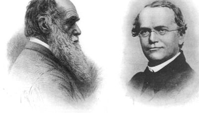 Cómo Gregor Mendel sentó las bases de la genética moderna y complementó sin saberlo la teoría de Charles Darwin sobre la evolución