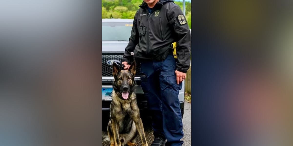 K-9 to retire, stay with his partner’s family after trooper dies in hit-and-run crash