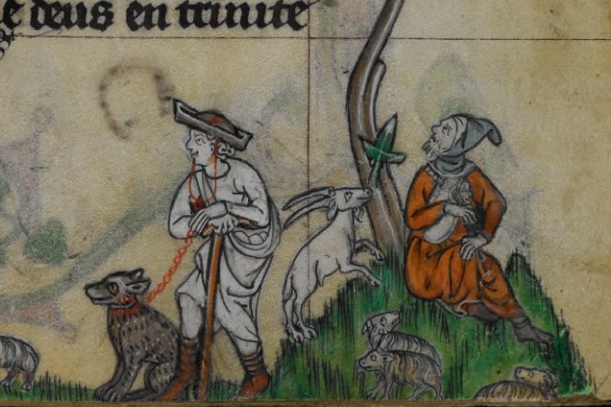 10 Fascinating Facts About Dogs in Medieval Times