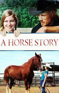 A Horse Story