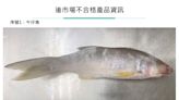 屏東養殖午仔魚驗出孔雀綠