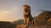 《獅子王》前傳男星：片中描述木法沙如何找到自己的節奏