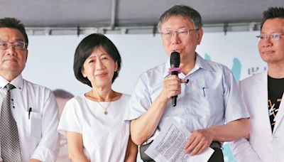 藍主張提高罷免門檻 白不同調