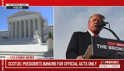 Neal Katyal on Trump immunity ruling: "The law, the courts are not going to protect us against a president who wants to violate the law"