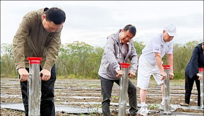 池上綠金產業 打造全國最大薰衣草田