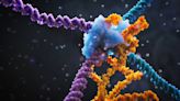 Una nueva técnica de edición genética promete un "salto adelante" para modificar el genoma
