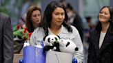 San Francisco Mayor Gives Panda Diplomacy a Try