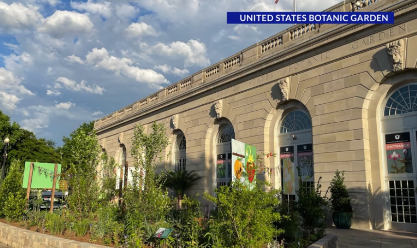 U.S. Botanic Garden summer exhibit highlights unique displays