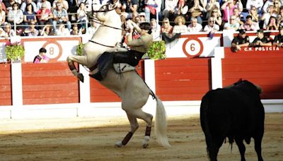 'Los caballos forman parte de mi familia, les debo mi vida'