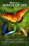 Disneynature: Wings of Life