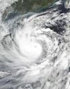 Typhoon Molave