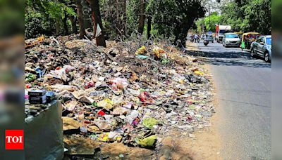 Unhappy with waste pickup? Do it yourself, DC tells corpn | Gurgaon News - Times of India