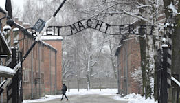 Dutch tourist arrested for making Nazi salute at Auschwitz death camp while posing for photo