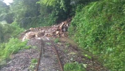 樹倒+土石崩塌 阿里山林鐵全線8月底前暫停營運