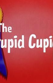 The Stupid Cupid