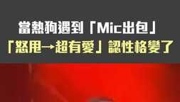 當熱狗遇到「Mic出包」 「怒甩→超有愛」認性格變了