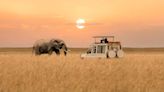 Cómo es y cuánto cuesta el safari más caro del mundo: globos aerostáticos, caminata con gorilas y más