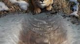 'Mufasa: O Rei Leão' tem primeiro trailer oficial divulgado e filha de Beyoncé no elenco; assista