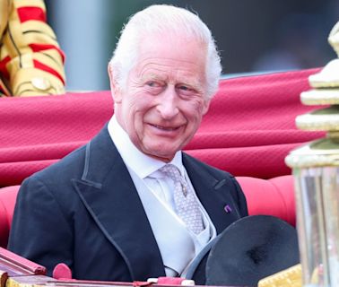 King Charles Surprises the World With a Dad Joke About His Grandkids During State Visit Speech