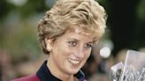 Diana's statement outfit showing Firm 'how you should carry out tour'