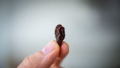 Use a raisin to slow down your thoughts in this mental health trick