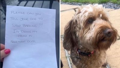 Neighbor fed up with barking dog next door decides to take action