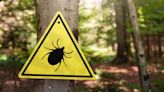 Where are the most cases of Lyme disease in NY? See rates in your county