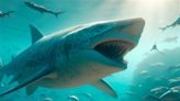 El aumento de las temperaturas en el mar puede afectar a los tiburones: podrían volverse más grandes