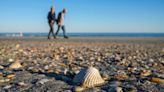 What beaches are best for seashells in Myrtle Beach SC area? Here’s where you should look