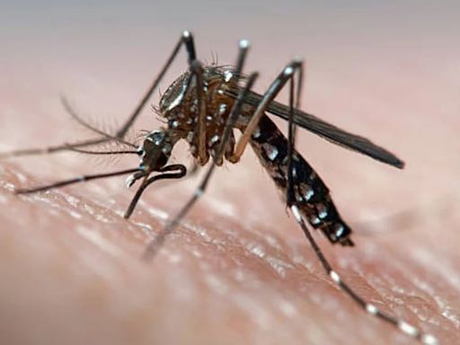 Santa Fe registró 10 muertes por dengue en solo una semana