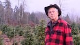 Climate change affecting Christmas tree farms across Canada, experts say