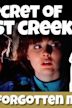 The Secret of Lost Creek