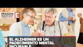 Profesor falsificó datos sobre un fármaco para Alzheimer en EU; ganó millones de dólares