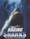 Raging Sharks