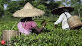 Tea industry seeks higher RoDTEP rates to make exports competitive - The Economic Times