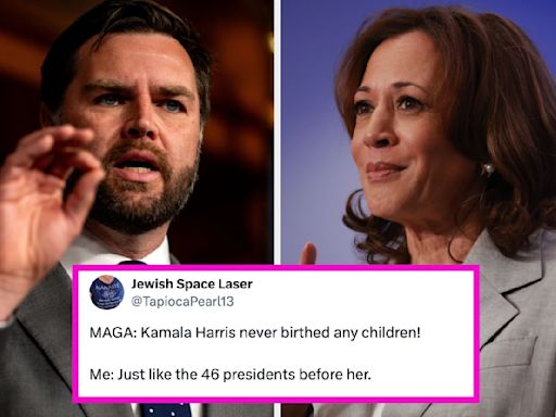 J.D. Vance Called Kamala Harris A "Childless Cat Lady," And The Backlash From Women Is Why I Love The Internet