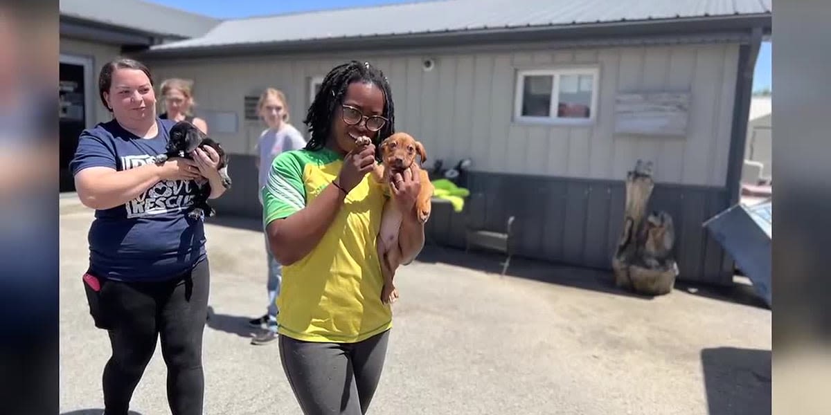 Ky. Humane Society lends helping hand after flooding at Muhlenberg Co. animal shelter