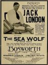 The Sea Wolf (1913 film)