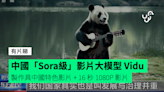 中國「Sora級」影片大模型 Vidu【有片睇】 製作具中國特色影片 + 文字轉換成 16 秒 1080P 影片