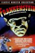 Frankenstein (1931 film)