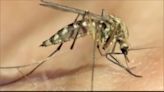 Champaign County bird tests positive for West Nile Virus: CUPHD