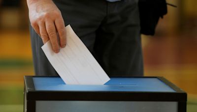 首輪投票無人過半…立陶宛第2輪總統大選登場 對俄擔憂主導選舉