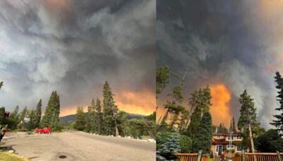 "We lost half of our cabins": Jasper wildfire damages Alpine Village | News