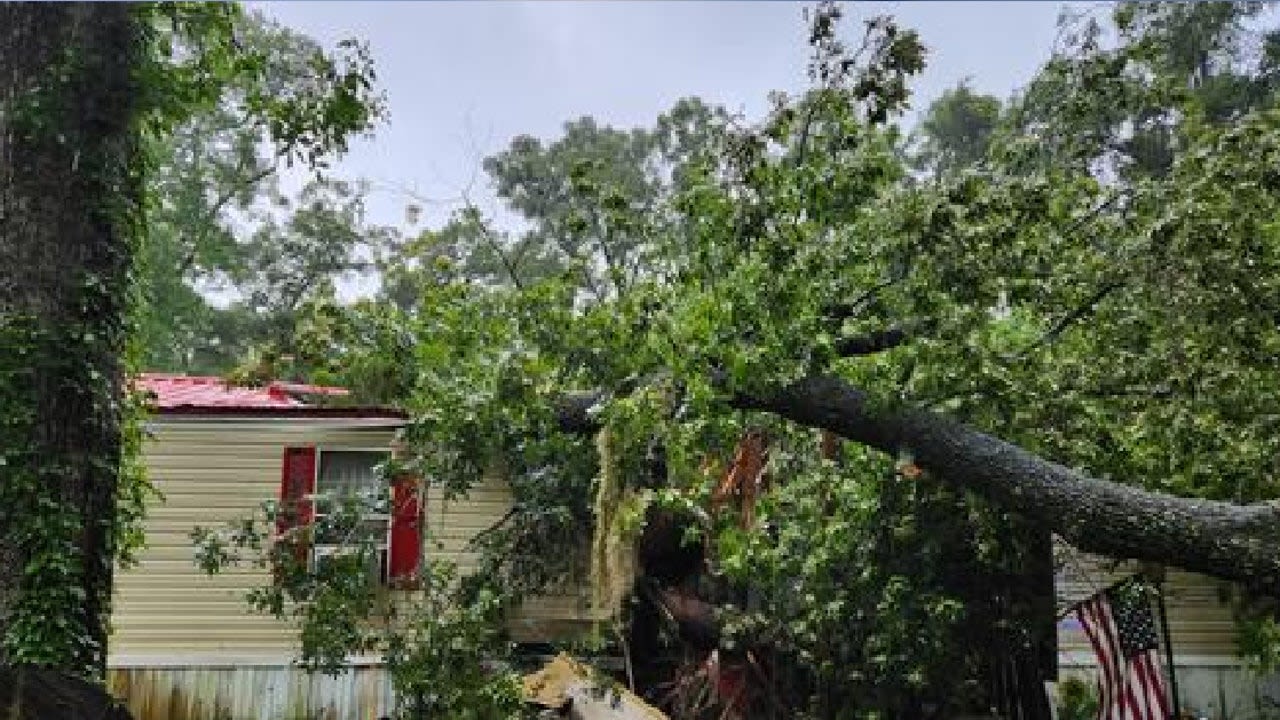 13-year-old crushed to death by tree during Hurricane Debby, deputies say